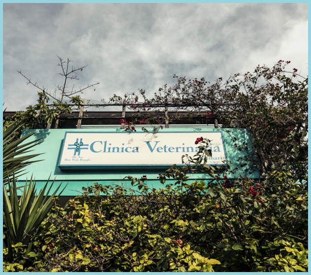 Clinica Veterinaria Duemari